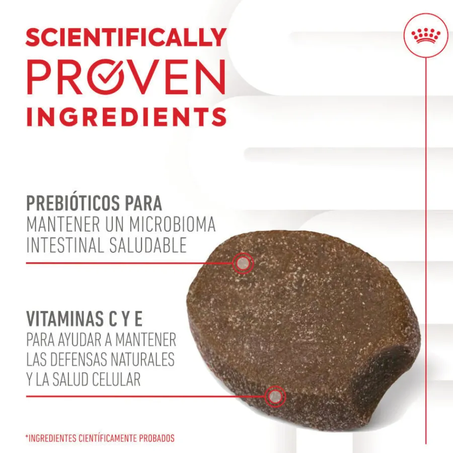 Royal Canin Immunity & Digestion Chews Puppy Suplemento nutricional para perros Best