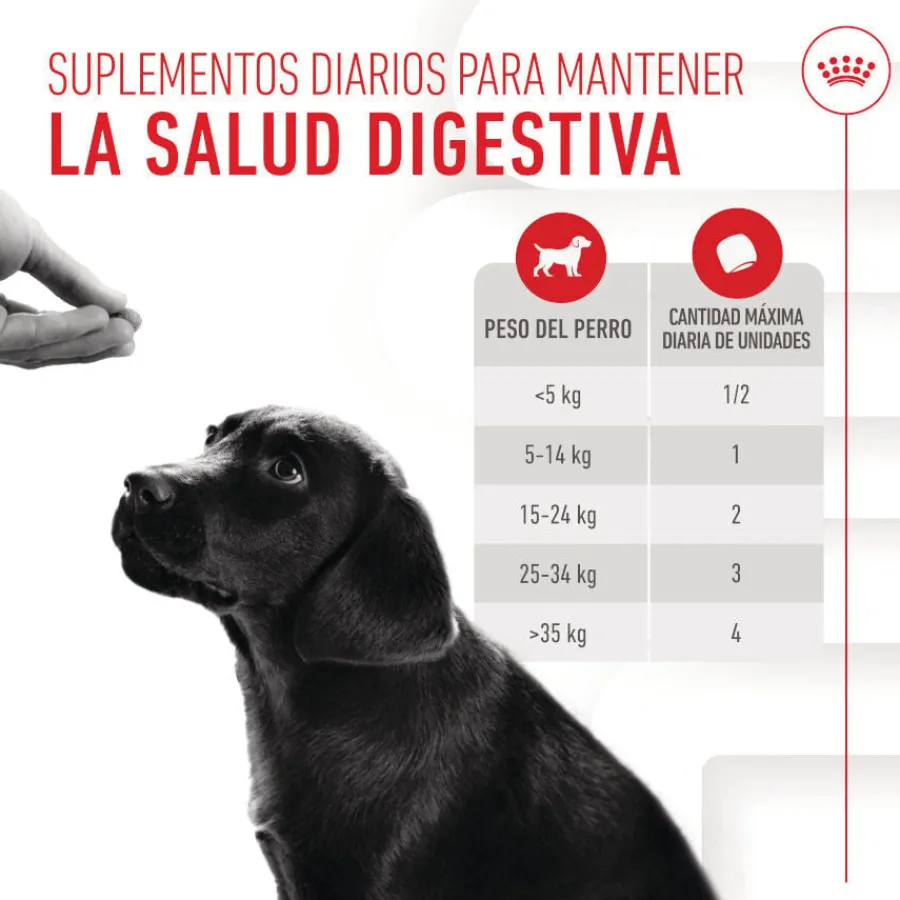 Royal Canin Immunity & Digestion Chews Puppy Suplemento nutricional para perros Best