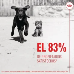 Royal Canin Immunity & Digestion Chews Puppy Suplemento nutricional para perros Best