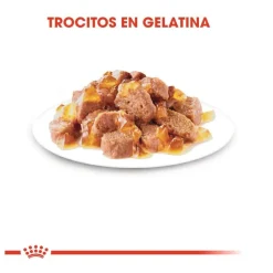 Royal Canin Instinctive gelatina sobres para gatos Discount