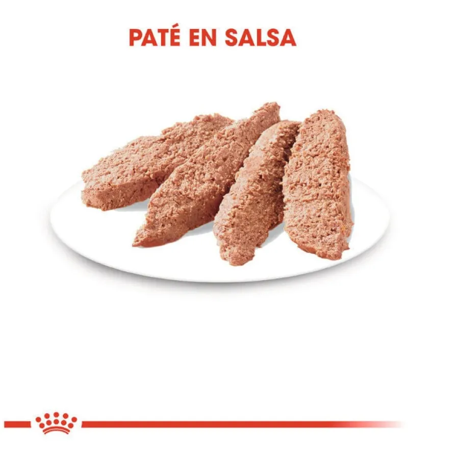 Royal Canin Instinctive paté sobre para gatos