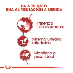 Royal Canin Instinctive paté sobre para gatos