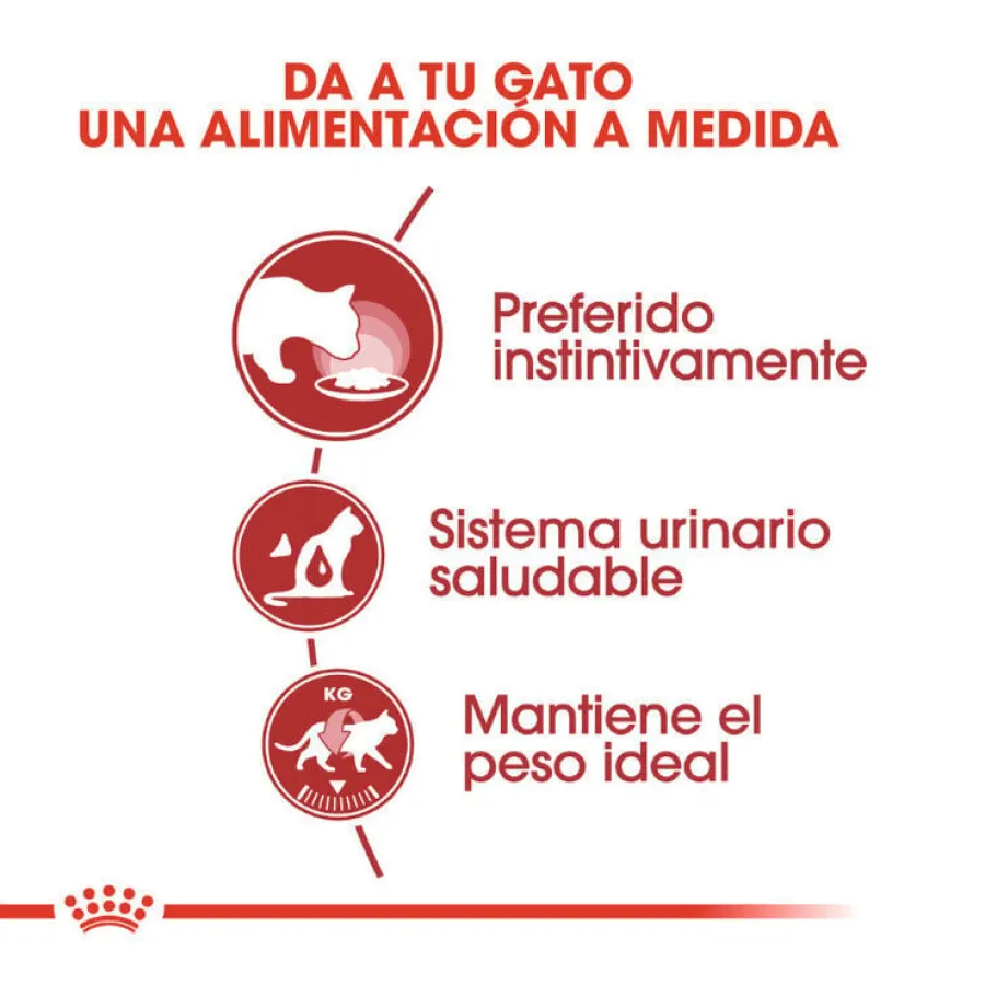 Royal Canin Instinctive paté sobre para gatos