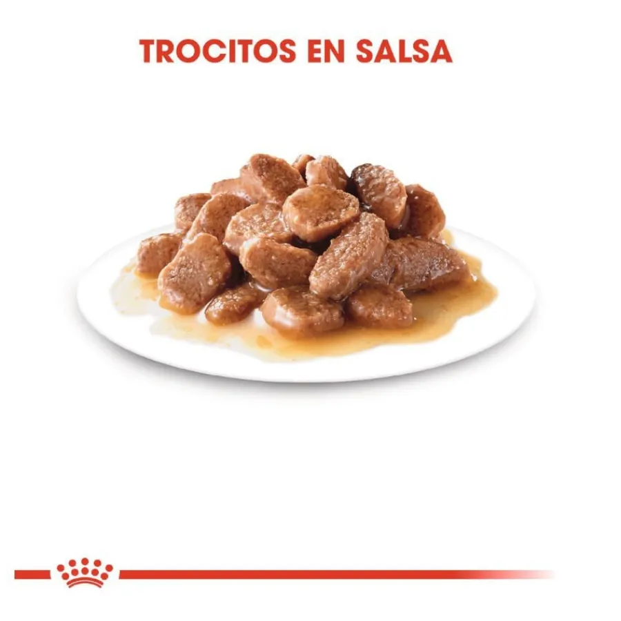 Royal Canin Instinctive sobres en salsa para gatos Online