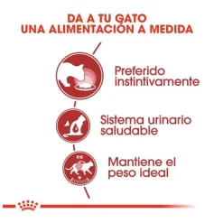 Royal Canin Instinctive sobres en salsa para gatos Online