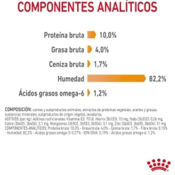Royal Canin Intense Beauty gelatina sobre para gatos