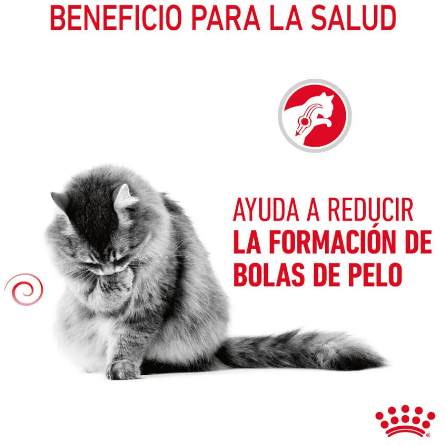 Royal Canin Intense Hairball pienso para gatos