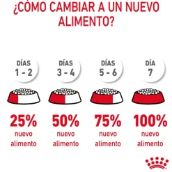 Royal Canin Intense Hairball pienso para gatos
