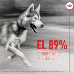 Royal Canin Joint & Ageing Chews Suplemento Nutricional para perros con sensibilidad articular Sale