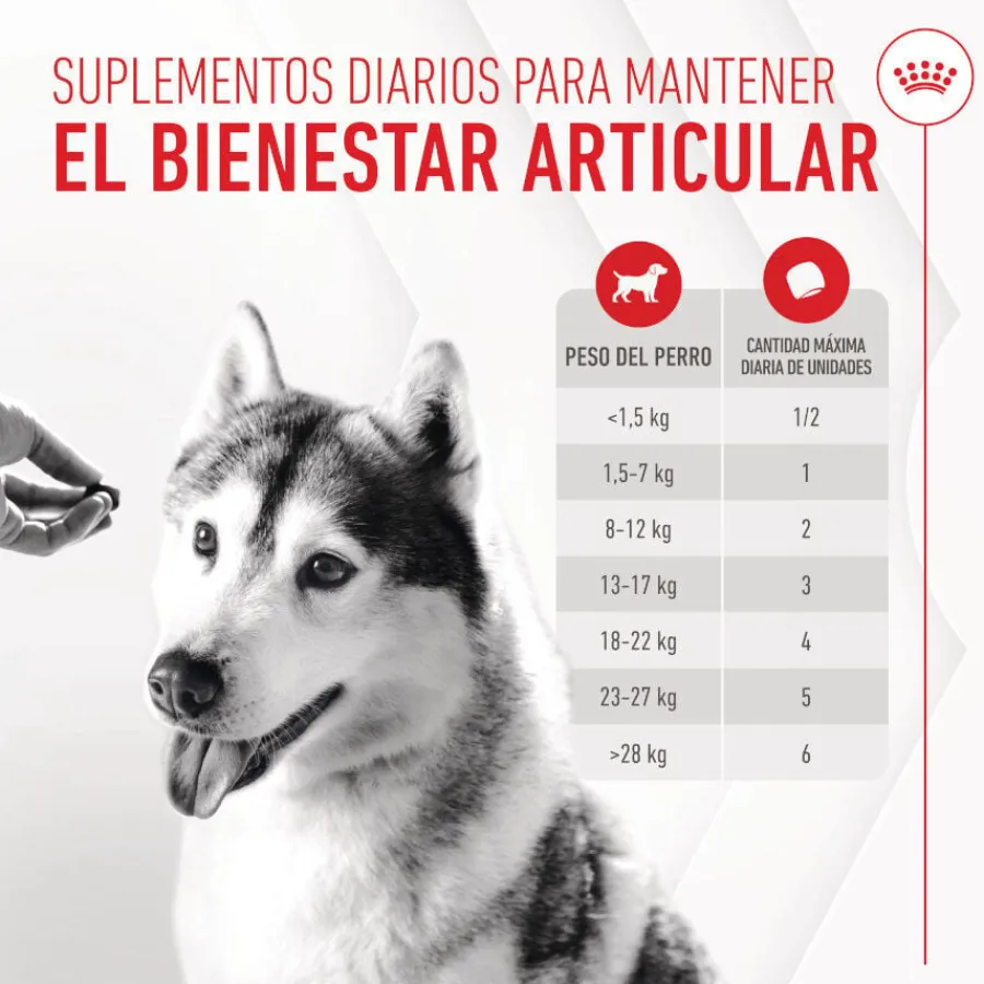 Royal Canin Joint & Ageing Chews Suplemento Nutricional para perros con sensibilidad articular Sale