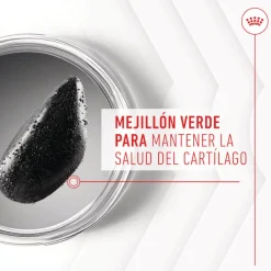 Royal Canin Joint & Ageing Chews Suplemento Nutricional para perros con sensibilidad articular Sale