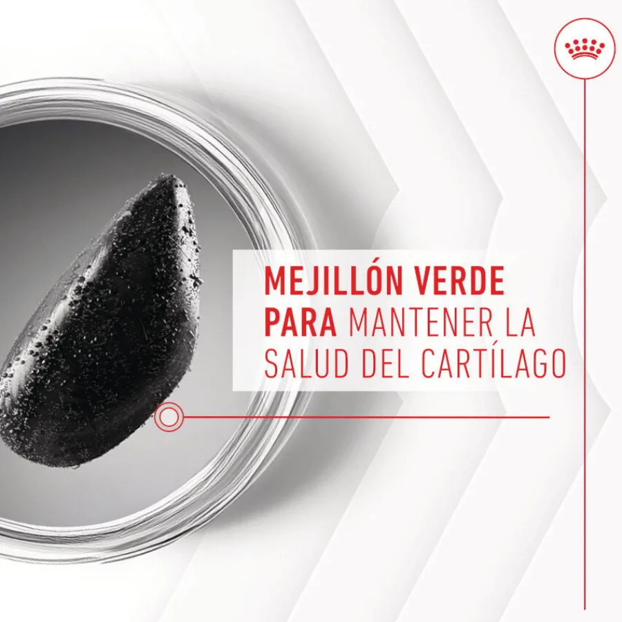 Royal Canin Joint & Ageing Chews Suplemento Nutricional para perros con sensibilidad articular Sale