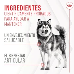 Royal Canin Joint & Ageing Chews Suplemento Nutricional para perros con sensibilidad articular Sale