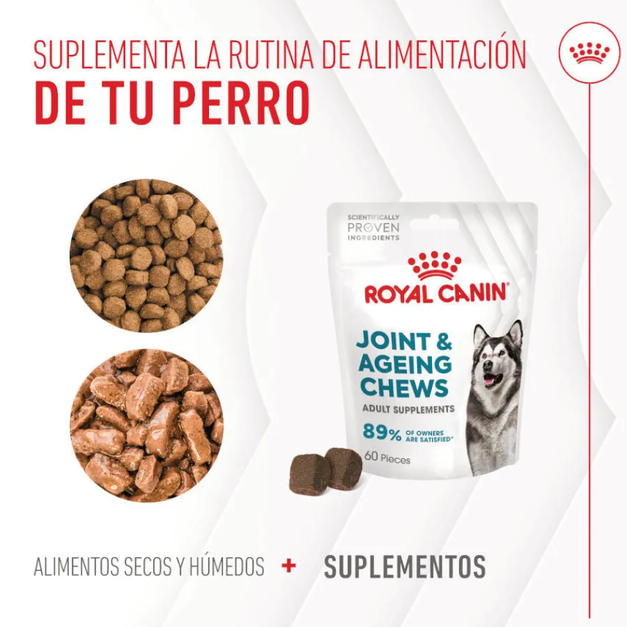 Royal Canin Joint & Ageing Chews Suplemento Nutricional para perros con sensibilidad articular Sale