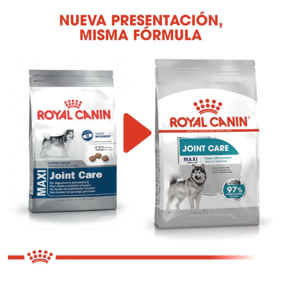 Royal Canin Joint Care Maxi pienso para perros Best