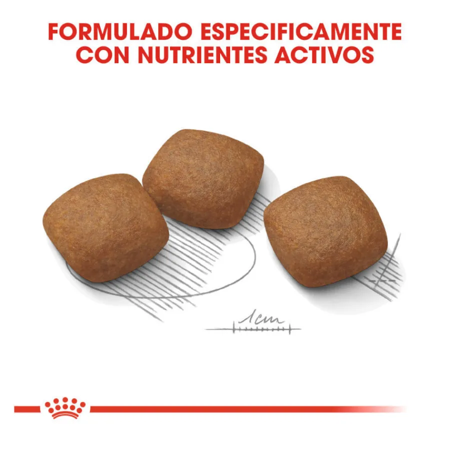 Royal Canin Joint Care Maxi pienso para perros Best