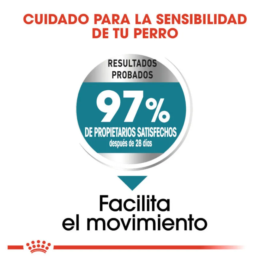 Royal Canin Joint Care Maxi pienso para perros Best