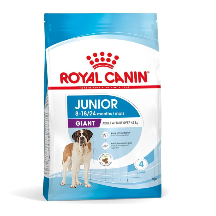 Royal Canin Junior Giant pienso para perros New