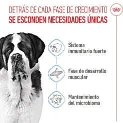 Royal Canin Junior Giant pienso para perros New
