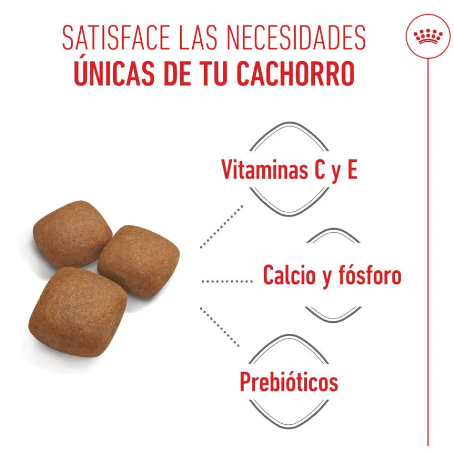 Royal Canin Junior Giant pienso para perros New