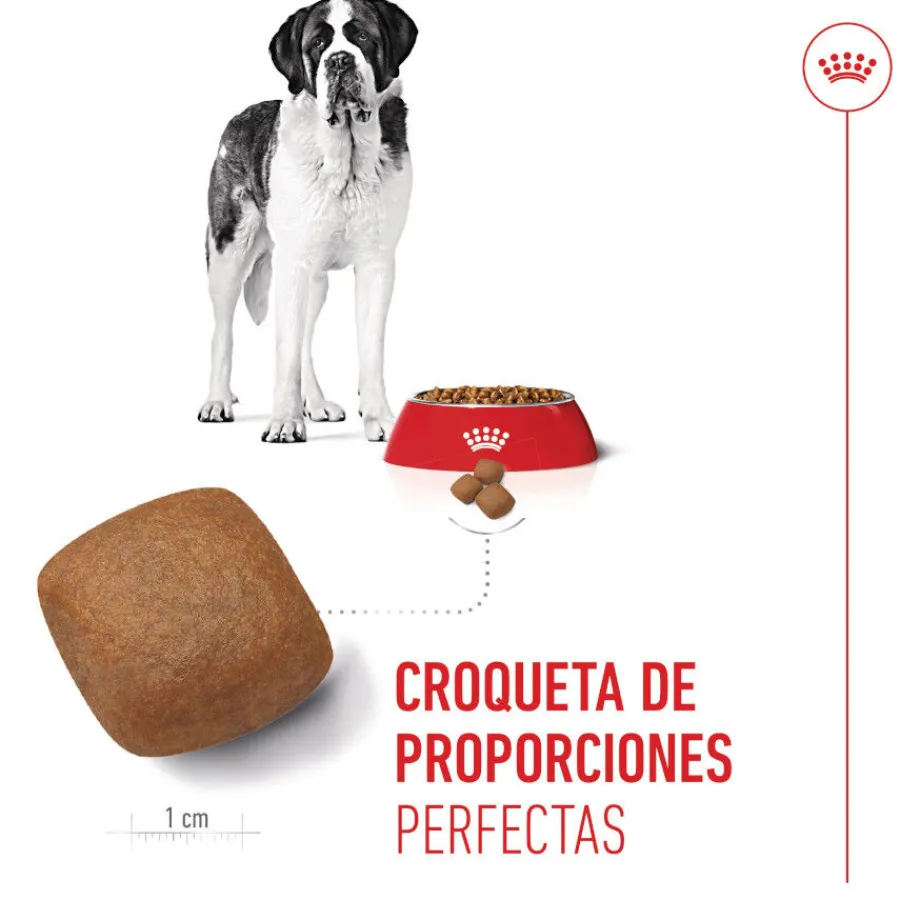 Royal Canin Junior Giant pienso para perros New