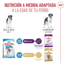 Royal Canin Junior Giant pienso para perros New