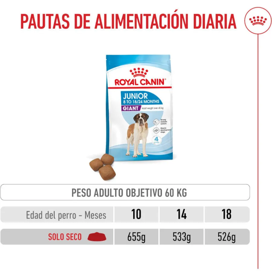 Royal Canin Junior Giant pienso para perros New