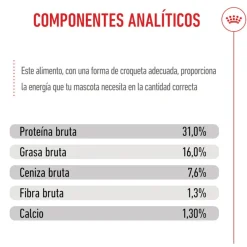 Royal Canin Junior Giant pienso para perros New