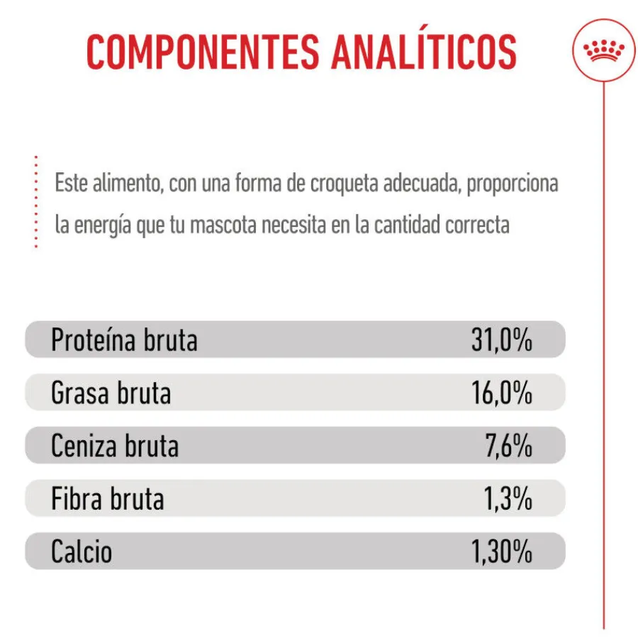 Royal Canin Junior Giant pienso para perros New