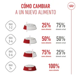 Royal Canin Junior Giant pienso para perros New