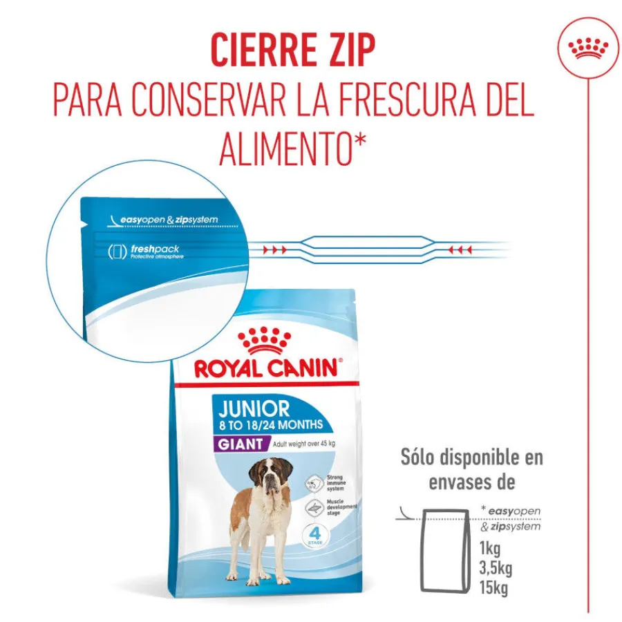 Royal Canin Junior Giant pienso para perros New
