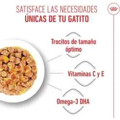 Royal Canin Kitten comida húmeda en gelatina sobre para gatitos Online