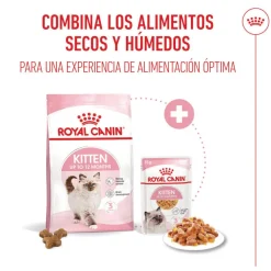 Royal Canin Kitten comida húmeda en gelatina sobre para gatitos Online