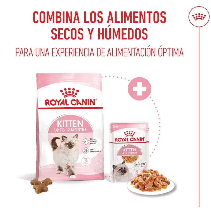Royal Canin Kitten comida húmeda en gelatina sobre para gatitos Online