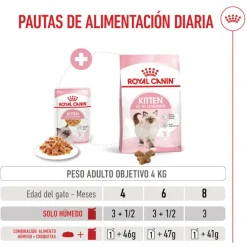 Royal Canin Kitten comida húmeda en gelatina sobre para gatitos Online