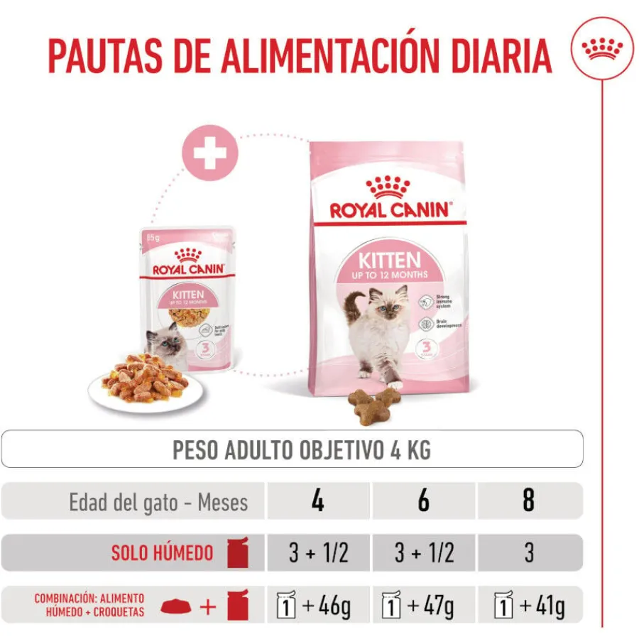 Royal Canin Kitten comida húmeda en gelatina sobre para gatitos Online