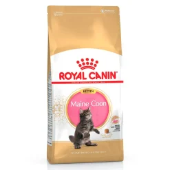 Royal Canin Kitten Maine Coon pienso para gatos