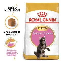 Royal Canin Kitten Maine Coon pienso para gatos