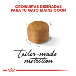 Royal Canin Kitten Maine Coon pienso para gatos