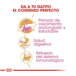 Royal Canin Kitten Maine Coon pienso para gatos