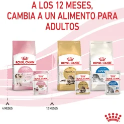 Royal Canin Kitten paté sobre para gatos Sale
