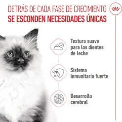 Royal Canin Kitten paté sobre para gatos Sale