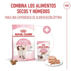 Royal Canin Kitten paté sobre para gatos Sale