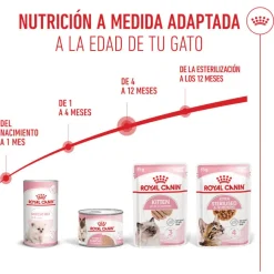 Royal Canin Kitten paté sobre para gatos Sale