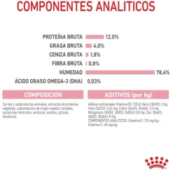 Royal Canin Kitten paté sobre para gatos Sale