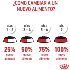 Royal Canin Kitten paté sobre para gatos Sale