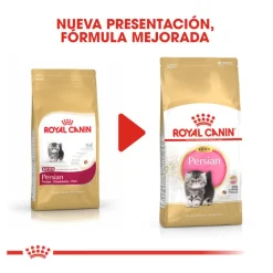 Royal Canin Kitten Persia pienso para gatos Best