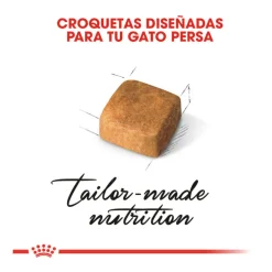 Royal Canin Kitten Persia pienso para gatos Best