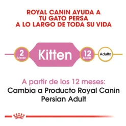 Royal Canin Kitten Persia pienso para gatos Best