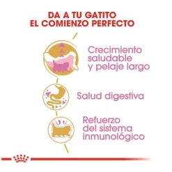 Royal Canin Kitten Persia pienso para gatos Best